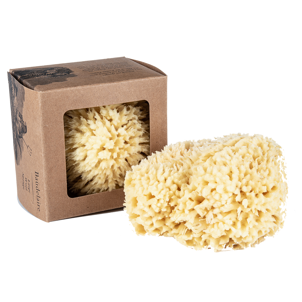 Sponge Wool Large, 5.5"