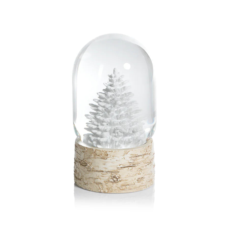 Snowglobe on Birch